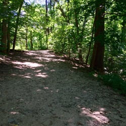 Kitchens Lane Dog Run