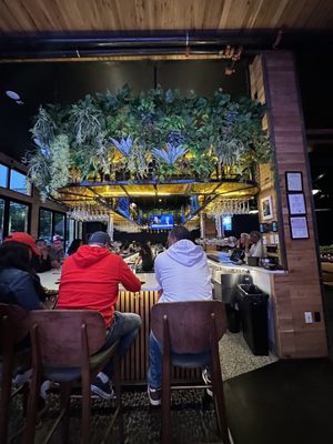 Citizens and Culture by null