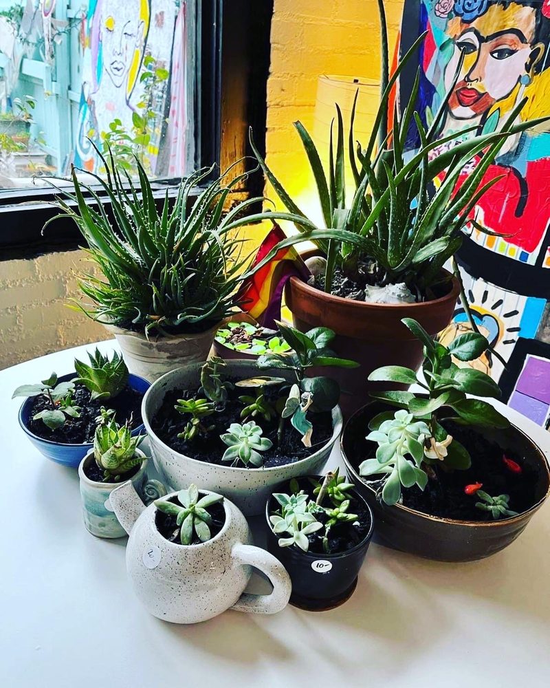 BOTTEGA ART & WINE Updated September 2024 42 Photos 723 N 4th St