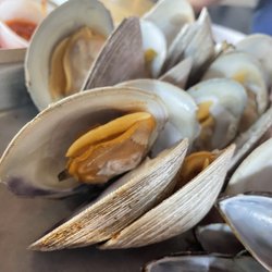 Yelp Elite Week: Steve's Clam Bar - Look at the size of those RI clams!