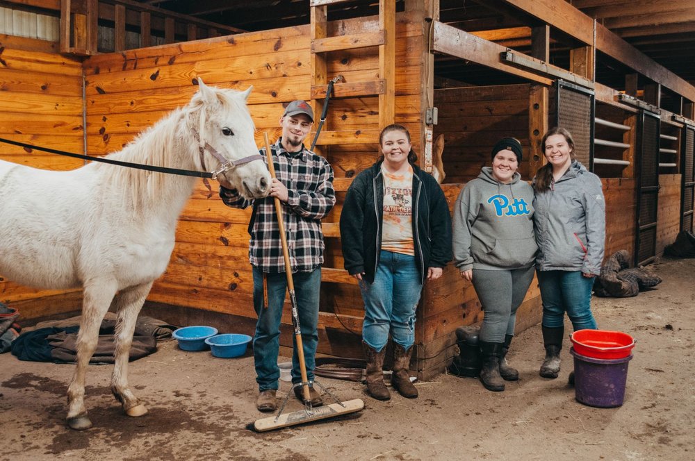 North Wynd Stable - equestrian in Gilbertsville, PA