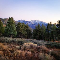 Inspiration Point, Wrightwood - Near the Trail