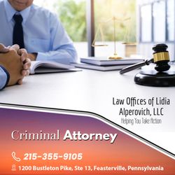 Law Offices of Lidia Alperovich - Criminal Attorney