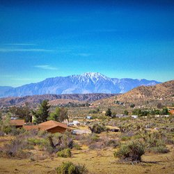 TERRY DIANE KINNEY, Realtor