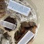 Photo of Osito's Biscochitos