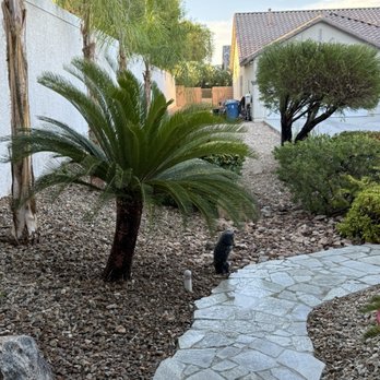 Estrada Tree Service - Front yard - Tree Services Near Me Estrada Tree Service - Front yard - Tree Services Near Me