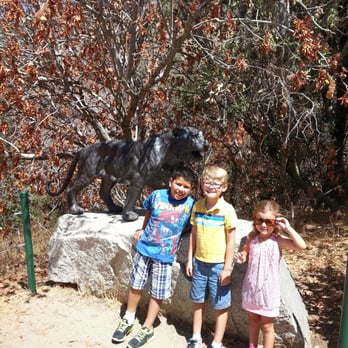 Project Survival's Cat Haven - Zoos Near Me - Dunlap, California Project Survival's Cat Haven - Zoos Near Me - Dunlap, California