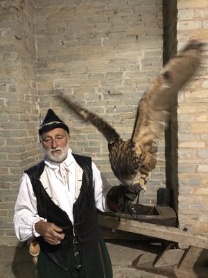 Mary Arden's Farm by null