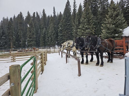 Lone Mountain Ranch by null