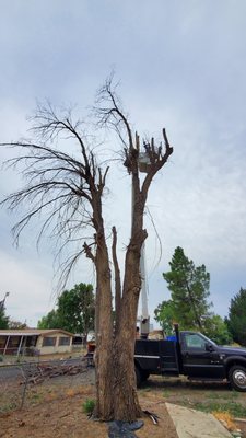 Removing a dead tree - Call us to remove your dead tree or fire damaged tree. Removing a dead tree - Call us to remove your dead tree or fire damaged tree.