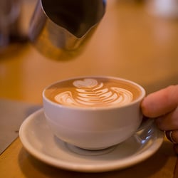 Evans Brothers Coffee - Latte Art, Barista Daniel  Gunter