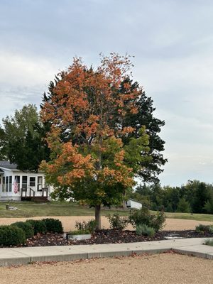 Stone Soup Cottage by null