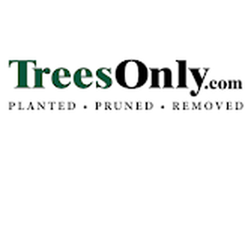 Trees Only - Tree Services Near Me - Bunnell, Florida Trees Only - Tree Services Near Me - Bunnell, Florida