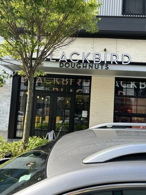 Blackbird Doughnuts Watertown by null