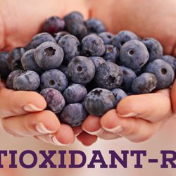 Oakberry Acai - Fuel energy, cut cholesterol, enhance cognition. Acai's antioxidants battle radicals, boost immunity. Daily superfood!