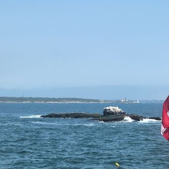 Whale Rock Lighthouse - Landmarks & Historical Buildings Near Me Whale Rock Lighthouse - Landmarks & Historical Buildings Near Me