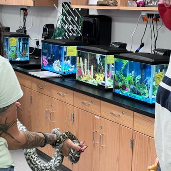 Infinity Fish - Some tanks my students set up - Aquarium Services Near Me - Stafford, Texas Infinity Fish - Some tanks my students set up - Aquarium Services Near Me - Stafford, Texas
