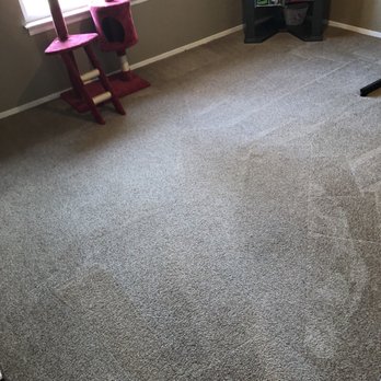 The Carpet "Guy" - Carpet Cleaning Near Me The Carpet "Guy" - Carpet Cleaning Near Me