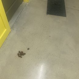 Shit Shit