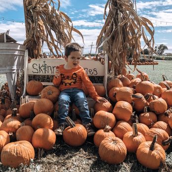 SKINNY BONES PUMPKIN PATCH - TEMP. CLOSED - Updated January 2026 - 128 Photos & 34 Verified