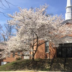 Corkran Preschool and Kindergarten - Welcome to our school on a beautiful spring morning.