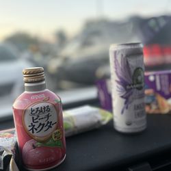 Mitsuwa Marketplace - soda