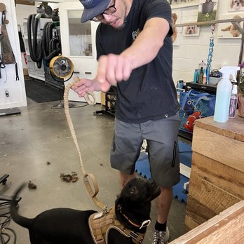 Ruff Haus Grooming - Finn is ready for some fun at daycare He's in good hand with Kevin - Pet Groomers Near Me - Costa Mesa, California Ruff Haus Grooming - Finn is ready for some fun at daycare He's in good hand with Kevin - Pet Groomers Near Me - Costa Mesa, California