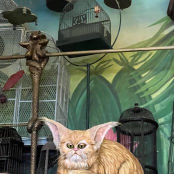Magical Menagerie - Toy Stores Near Me - Orlando, Florida Magical Menagerie - Toy Stores Near Me - Orlando, Florida