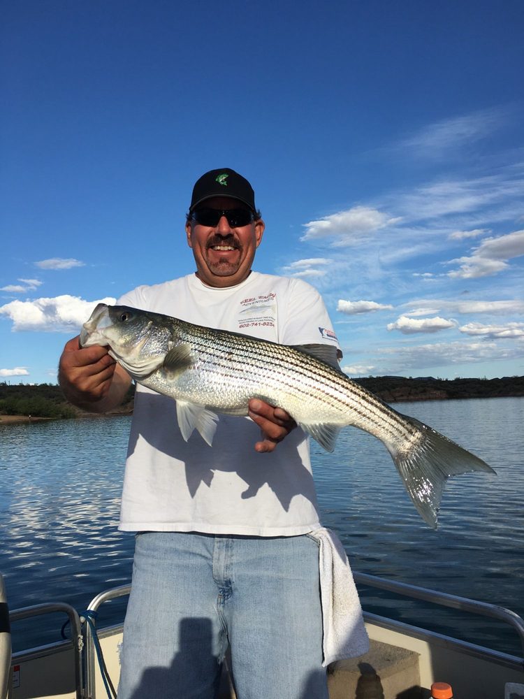 Reel'em In Adventures Logo