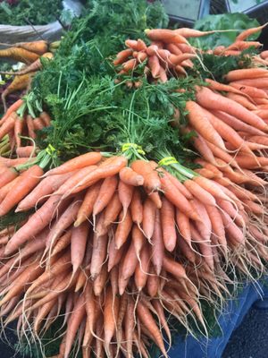 Montclair Village Farmers' Market by null