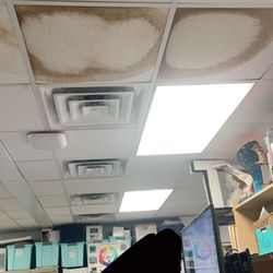 Charleston Collegiate School - Art room