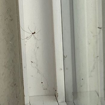 Pro Active Pest Control - Pest Control Near Me Pro Active Pest Control - Pest Control Near Me