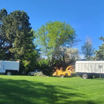 Canales Tree Service - Tree Services Near Me - Denver, Colorado