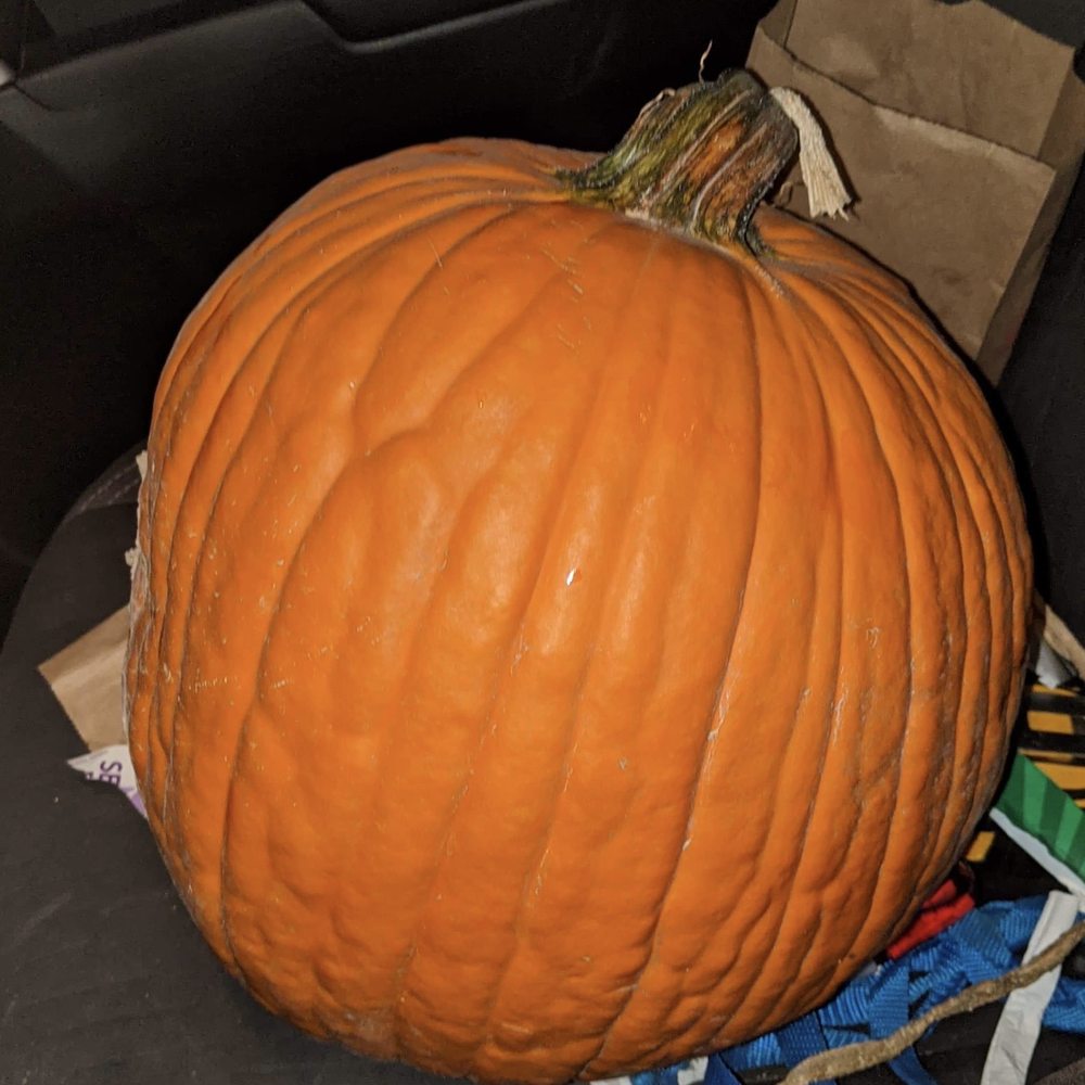 Mabey’s Pumpkin Patch - Pumpkin Patches Near Me - South Jordan, Utah Mabey’s Pumpkin Patch - Pumpkin Patches Near Me - South Jordan, Utah