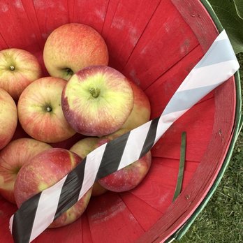 Fall Harvest Orchard - Apples! - Attraction Farms Near Me - Delano, Minnesota