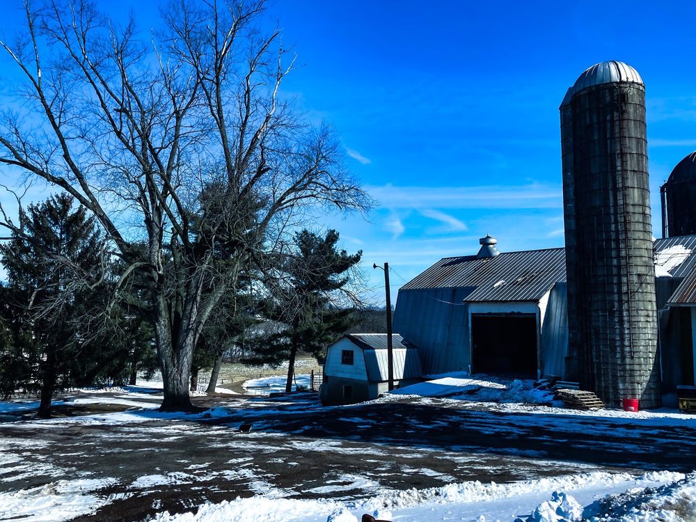 KOLB’S FARM STORE Updated October 2024 22 Photos & 14 Reviews 151