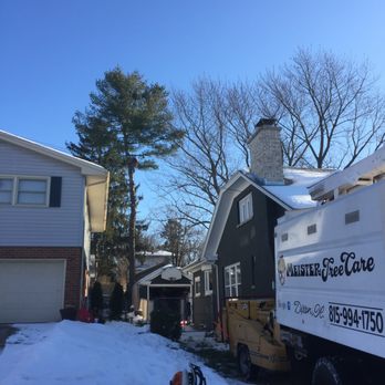 Meister Tree Care - Tree Services Near Me - Dixon, Illinois