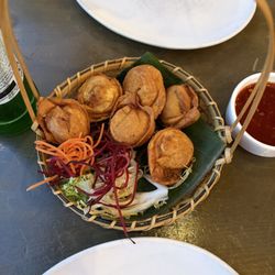 Tum Thai Cuisine - Wontons