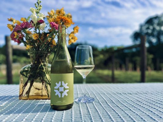 Doghobble Wine Farm by null