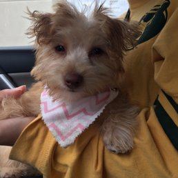 Chloe looking fresh