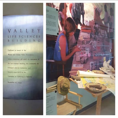 University of California Museum of Paleontology by null