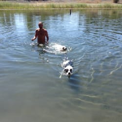 Badger Dog Park - (Dogs) swim in the river