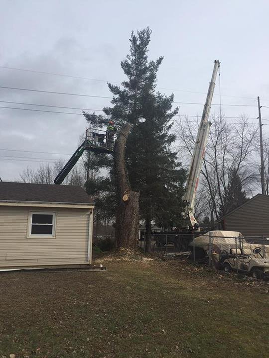 Slide of Heeter Enterprises Tree Service and Landscaping