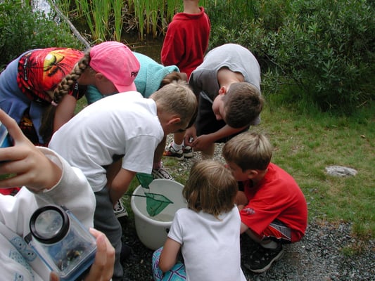 Memorial University Botanical Garden by null