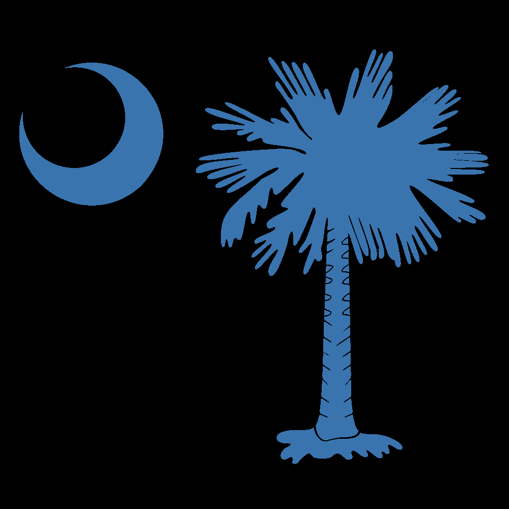 Slide of Palmetto Roofers