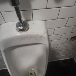 Puke on the toilet and handle and floor and sink.. which smelled and was everywhere which was being ignored on purpose.