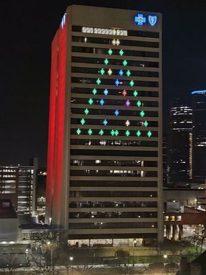 Blue Cross Foundation