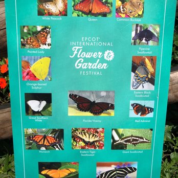 Bambi's Butterfly House - Botanical Gardens Near Me - Orlando, Florida
