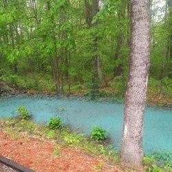 DIY Hydroseed