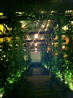 Gallow Green by null